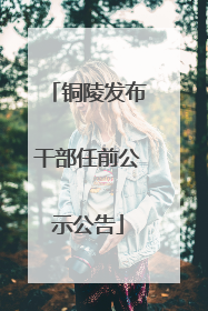 铜陵发布干部任前公示公告