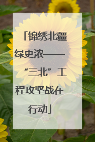 锦绣北疆绿更浓——“三北”工程攻坚战在行动