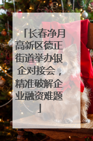 长春净月高新区德正街道举办银企对接会，精准破解企业融资难题