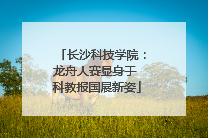 长沙科技学院：龙舟大赛显身手 科教报国展新姿