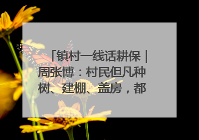 镇村一线话耕保｜周张博：村民但凡种树、建棚、盖房，都要向街道报批