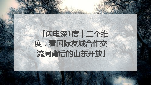 闪电深1度｜三个维度，看国际友城合作交流周背后的山东开放