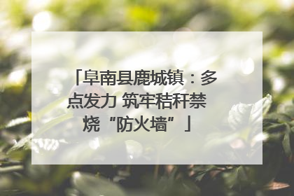 阜南县鹿城镇：多点发力 筑牢秸秆禁烧“防火墙”