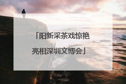 阳新采茶戏惊艳亮相深圳文博会