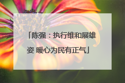 陈强：执行维和展雄姿 暖心为民有正气