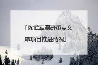 陈武军调研重点文旅项目推进情况