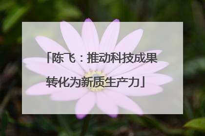 陈飞：推动科技成果转化为新质生产力