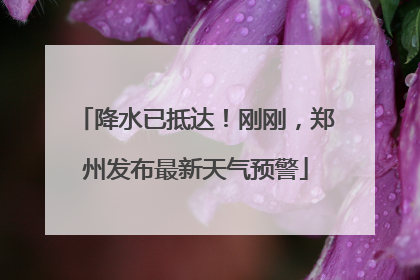 降水已抵达！刚刚，郑州发布最新天气预警