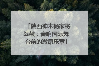 陕西神木杨家将战鼓：奏响国际舞台前的激昂乐章