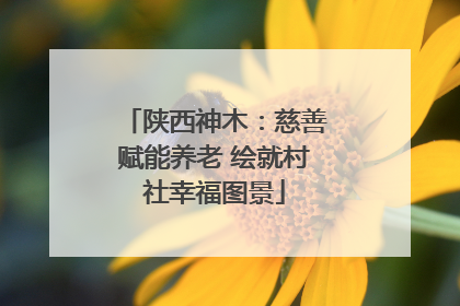 陕西神木：慈善赋能养老 绘就村社幸福图景