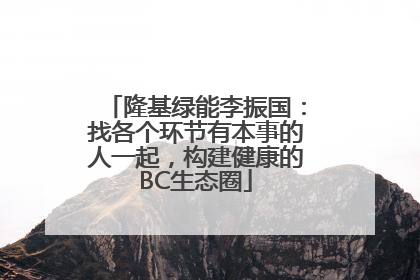 隆基绿能李振国：找各个环节有本事的人一起，构建健康的BC生态圈