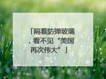 隔着防弹玻璃，看不见“美国再次伟大”