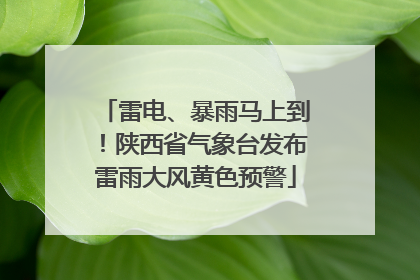 雷电、暴雨马上到！陕西省气象台发布雷雨大风黄色预警