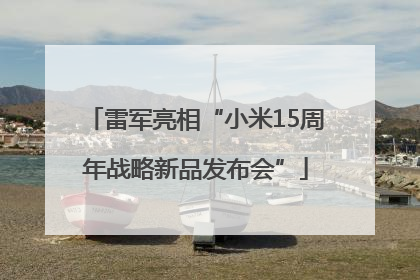 雷军亮相“小米15周年战略新品发布会”