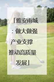 雅安雨城：做大做强产业支撑 推动高质量发展