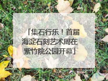 集石行乐！首届海淀石刻艺术周在紫竹院公园开幕