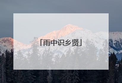 雨中识乡贤