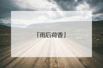 雨后荷香