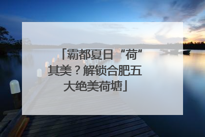 霸都夏日“荷”其美？解锁合肥五大绝美荷塘