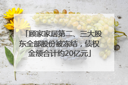 顾家家居第二、三大股东全部股份被冻结，债权金额合计约20亿元