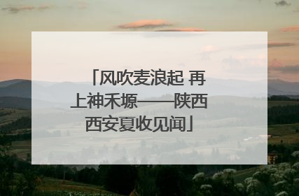 风吹麦浪起 再上神禾塬——陕西西安夏收见闻