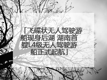飞碟状无人驾驶游船现身后湖 湖南首艘L4级无人驾驶游船正式起航