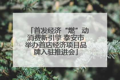 首发经济“燃”动消费新引擎 泰安市举办首店经济项目品牌入驻推进会