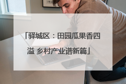 驿城区：田园瓜果香四溢 乡村产业谱新篇