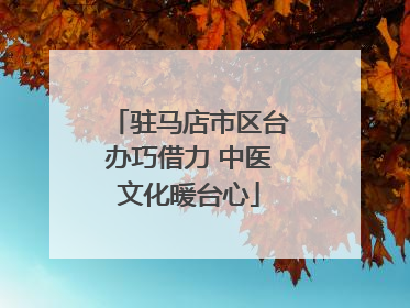 驻马店市区台办巧借力 中医文化暖台心