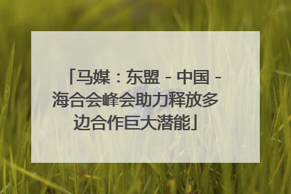 马媒：东盟－中国－海合会峰会助力释放多边合作巨大潜能