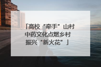 高校“牵手”山村 中药文化点燃乡村振兴“新火花”
