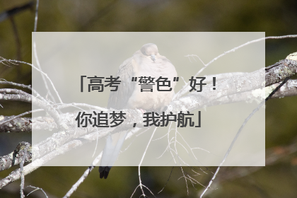 高考“警色”好！你追梦，我护航