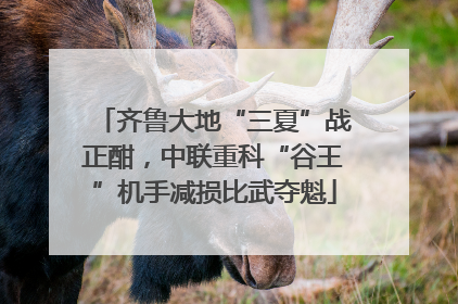 齐鲁大地“三夏”战正酣，中联重科“谷王”机手减损比武夺魁