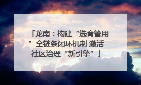龙南：构建“选育管用”全链条闭环机制 激活社区治理“新引擎”