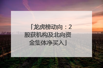龙虎榜动向：2股获机构及北向资金集体净买入