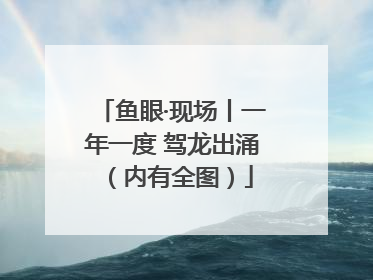 鱼眼·现场丨一年一度 驾龙出涌（内有全图）