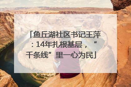 鱼丘湖社区书记王萍：14年扎根基层，“千条线”里一心为民