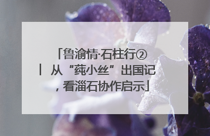 鲁渝情·石柱行② ︳从“莼小丝”出国记，看淄石协作启示