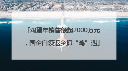 鸡蛋年销售额超2000万元，国企白领返乡抓“鸡”遇