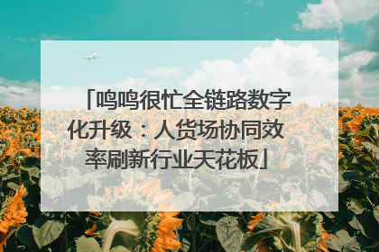 鸣鸣很忙全链路数字化升级：人货场协同效率刷新行业天花板