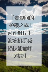 麦浪间的护粮之战！河南封丘上演农机手减损技能巅峰对决