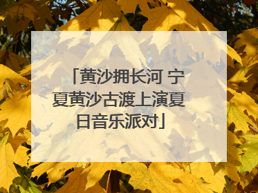 黄沙拥长河 宁夏黄沙古渡上演夏日音乐派对