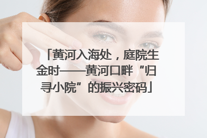 黄河入海处，庭院生金时——黄河口畔“归寻小院”的振兴密码