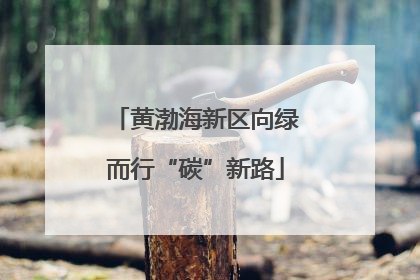黄渤海新区向绿而行“碳”新路