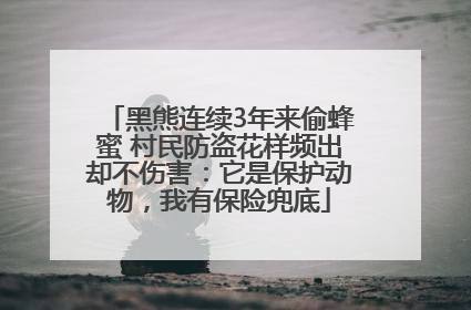 黑熊连续3年来偷蜂蜜 村民防盗花样频出却不伤害：它是保护动物，我有保险兜底