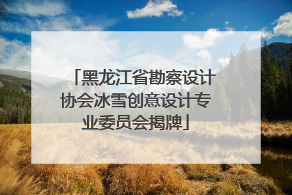 黑龙江省勘察设计协会冰雪创意设计专业委员会揭牌