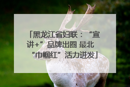 黑龙江省妇联：“宣讲+”品牌出圈 最北“巾帼红”活力迸发