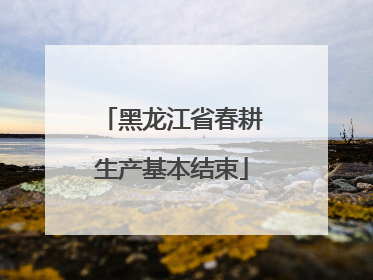 黑龙江省春耕生产基本结束