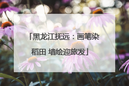 黑龙江抚远：画笔染稻田 墙绘迎旅发