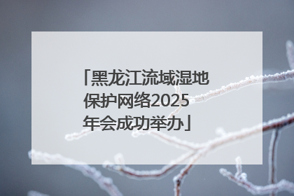 黑龙江流域湿地保护网络2025年会成功举办